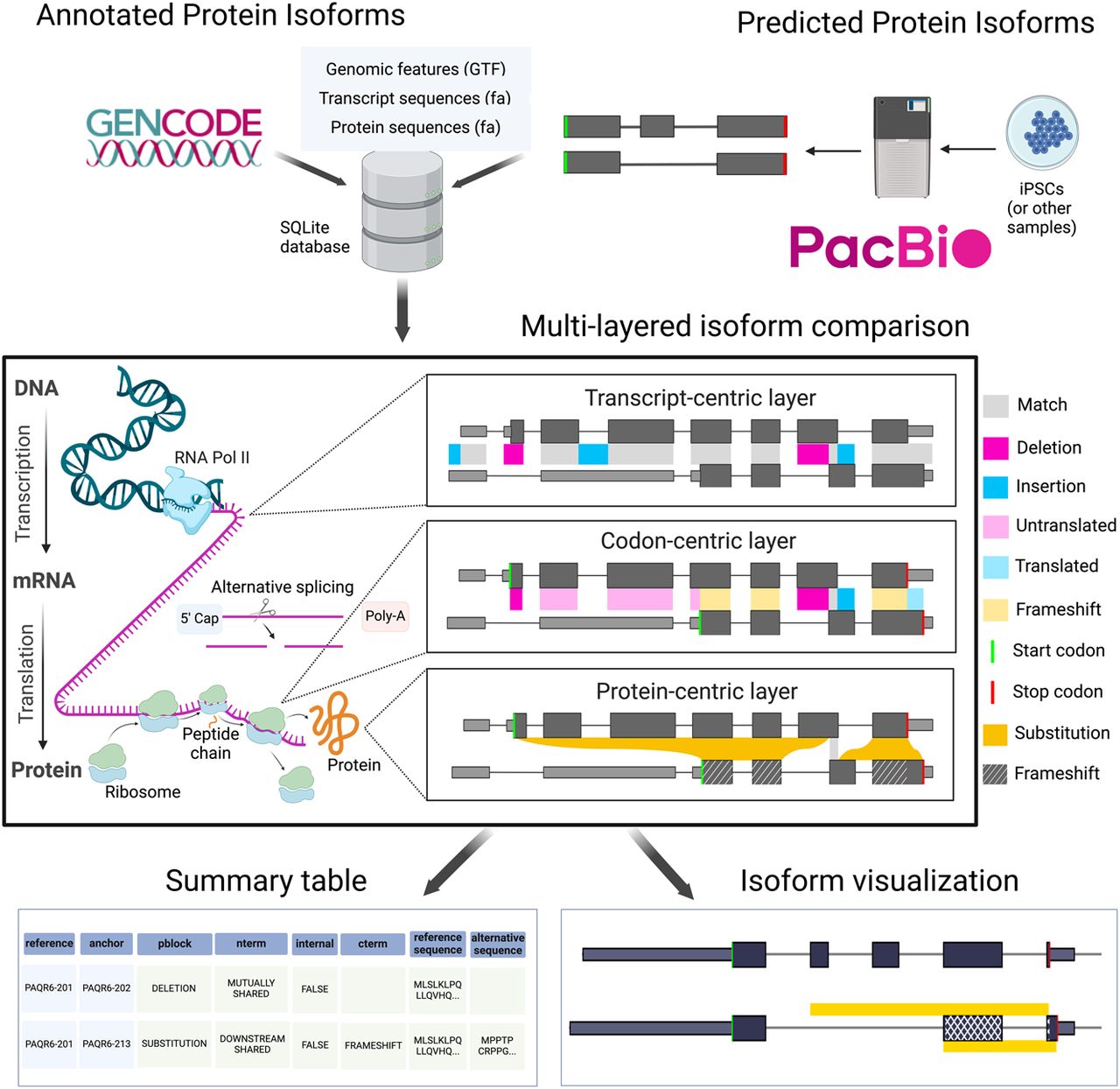 Biosurfer Pipeline Figure